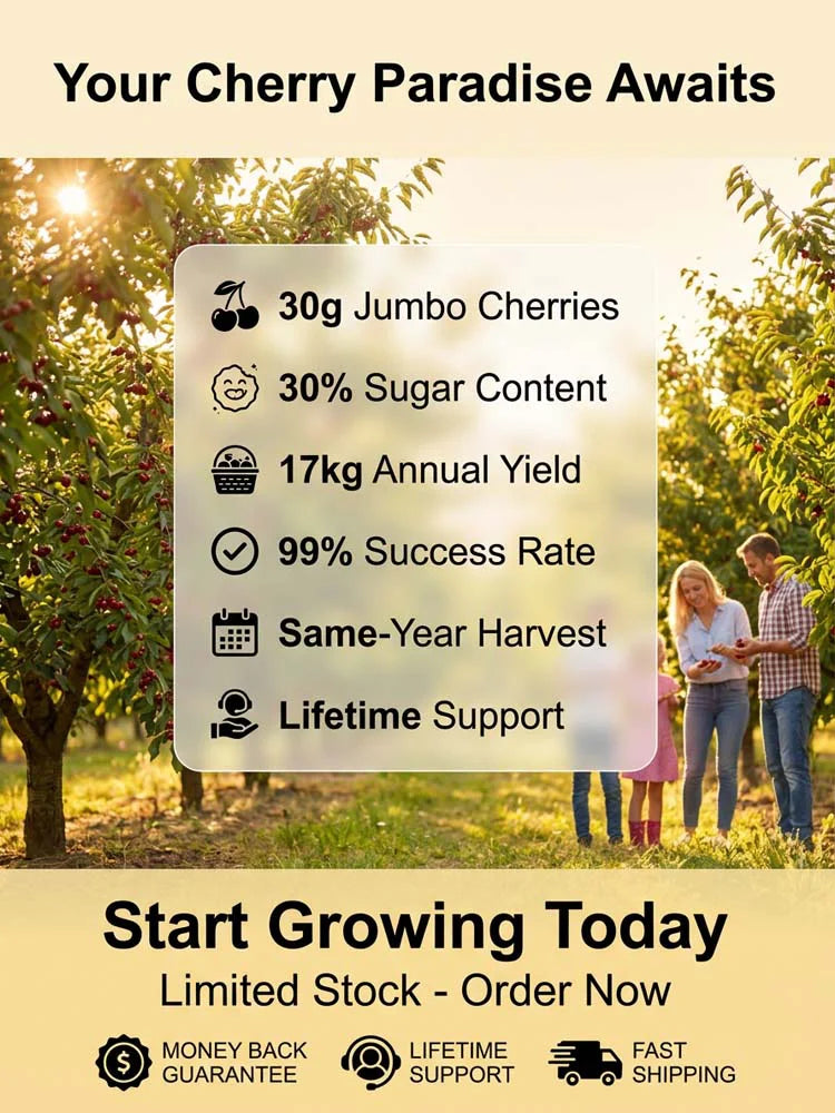 Premium Giant Sweet Cherry Seeds