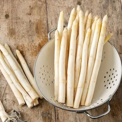 Memorial Day Sale❤️🌿Four Seasons Asparagus Mary Washington Seeds – Perennial, Tender, Nutrient
