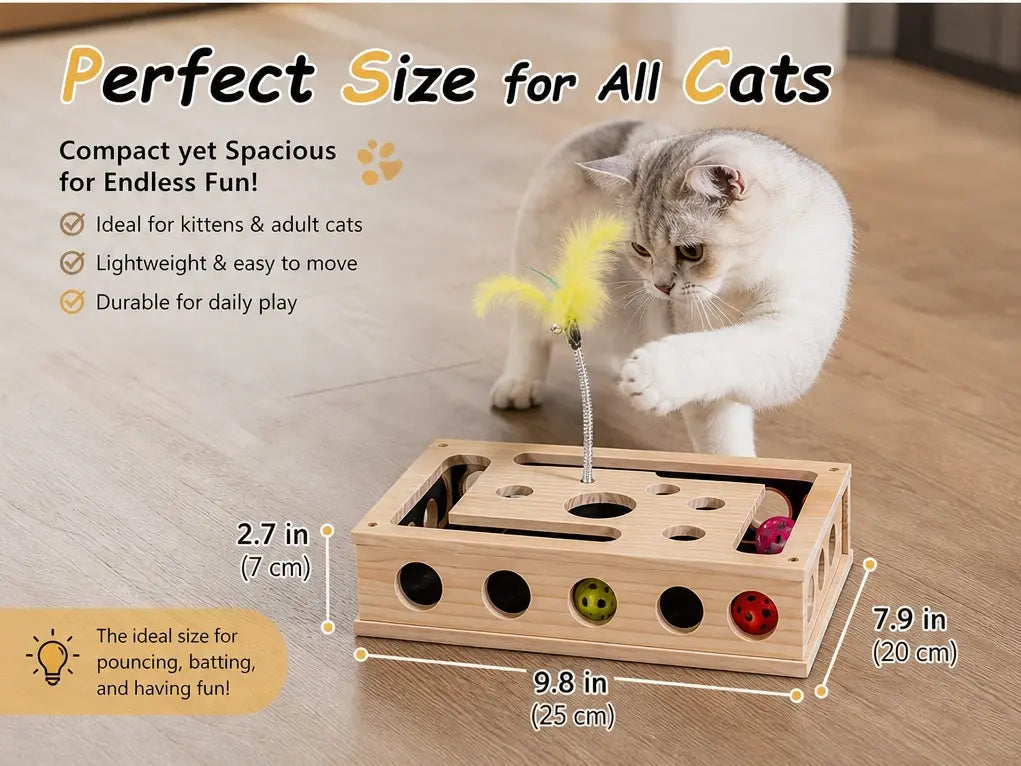 🔥LAST DAY 50% OFF🔥Cat Toys for Indoor Cats - Interactive Box Puzzle Toy Nail File Scratcher Hunting Play Toy