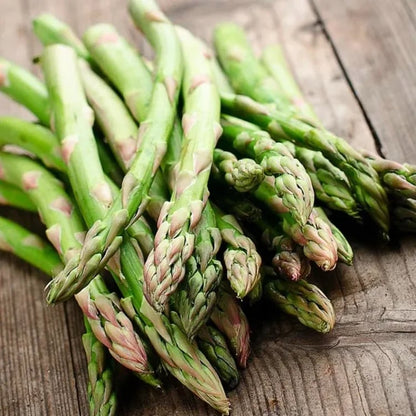 Memorial Day Sale❤️🌿Four Seasons Asparagus Mary Washington Seeds – Perennial, Tender, Nutrient
