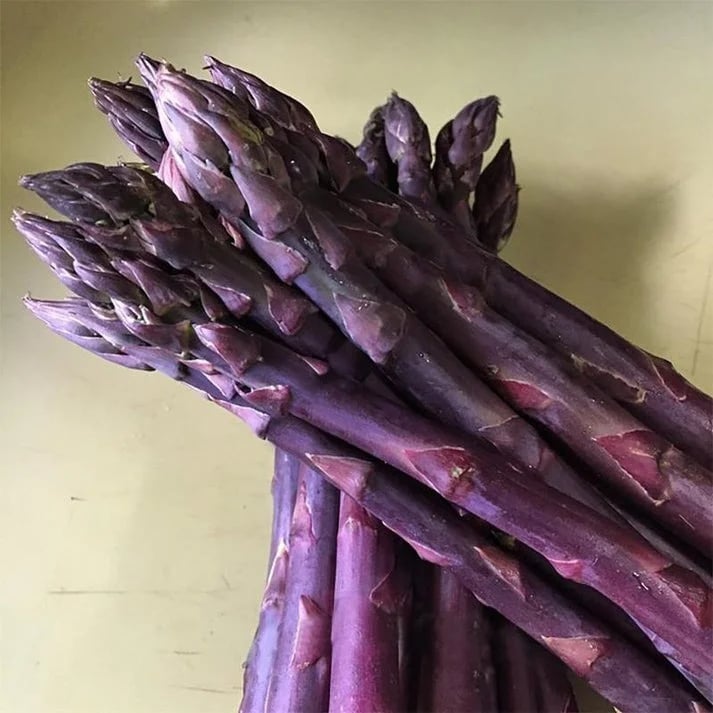 Memorial Day Sale❤️🌿Four Seasons Asparagus Mary Washington Seeds – Perennial, Tender, Nutrient