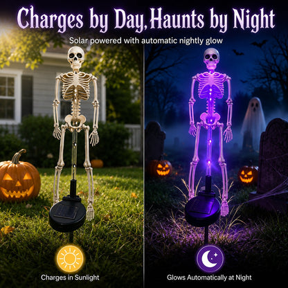 Solar Skull Garden Lights with Eerie Color-Changing Glow 🎃