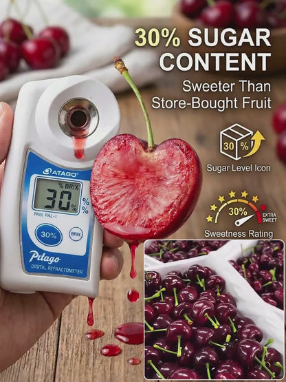 Premium Giant Sweet Cherry Seeds